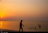 سواحل جزیره خارک - خلیج فارس