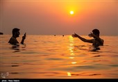 سواحل جزیره خارک - خلیج فارس