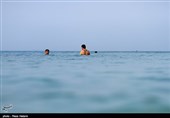 سواحل جزیره خارک - خلیج فارس