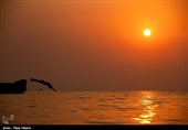 سواحل جزیره خارک - خلیج فارس