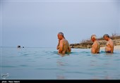 سواحل جزیره خارک - خلیج فارس
