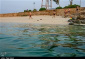سواحل جزیره خارک - خلیج فارس