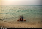 سواحل جزیره خارک - خلیج فارس