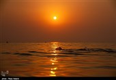 سواحل جزیره خارک - خلیج فارس