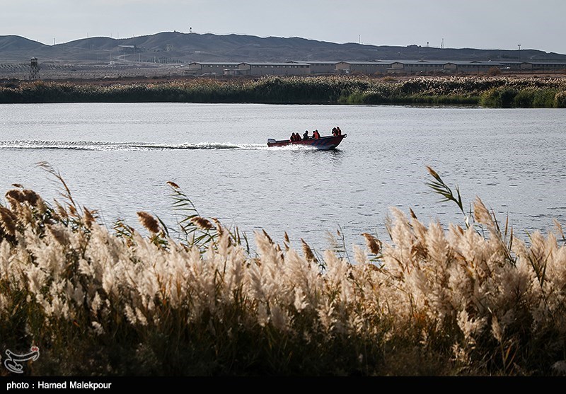 سینما , تلویزیون , هفته دفاع مقدس , فیلم , دفاع مقدس , سریال , 