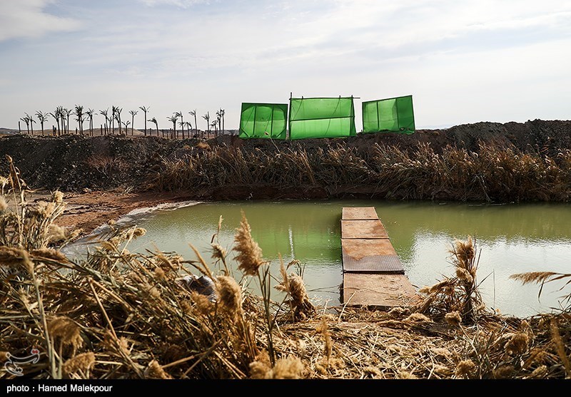 سینما , تلویزیون , هفته دفاع مقدس , فیلم , دفاع مقدس , سریال , 