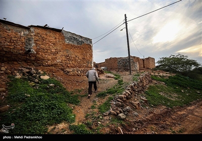 مردم نفت سفید از ایل بختیاری هستند .در قدیم نام دیگر آن پاریس ایران بود که آن هم به دلیل وجود مستشاران خارجی بود که با کشف نفت در انجا اقامت داشتن دلیل نامیدن این شهر به نفت سفید وجود نفتی بود بی رنگ و با کیفیت بالا که می‌توان بدون انجام هیچ‌گونه تصفیه‌ای به عنوان بنزین از آن استفاده کرد اما حالا دیگر خبری از استخراج نفت در آن نیست