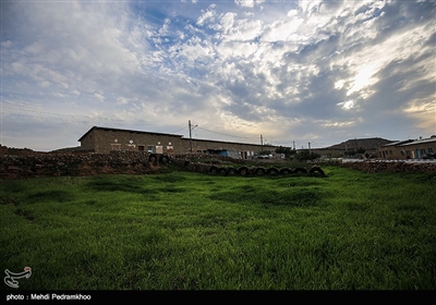 نفت سفید نام شهری است در ۳۶ کیلومتری شهرستان هفتکل و ۵۵ کیلومتری اهواز در استان خوزستان. 