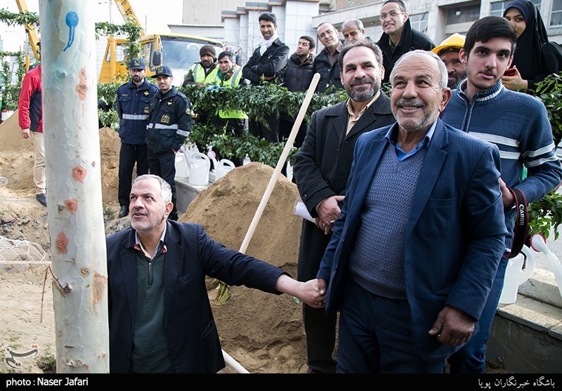 احمد مسجد‌جامعی در پروژه ساماندهی و احیاء درختان چنار خیابان ولیعصر