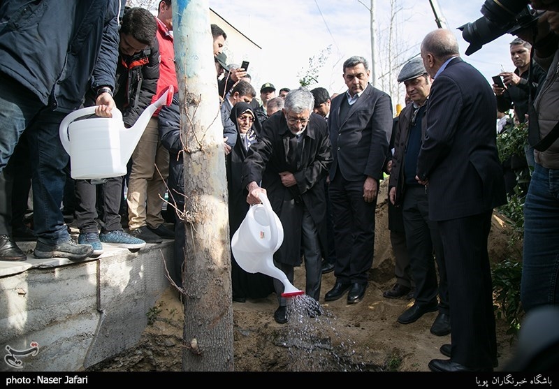 غلامعلی حداد‌عادل در پروژه ساماندهی و احیاء درختان چنار خیابان ولیعصر