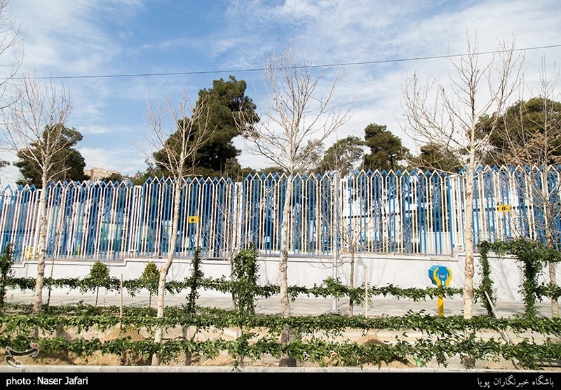 پروژه ساماندهی و احیاء درختان چنار خیابان ولیعصر