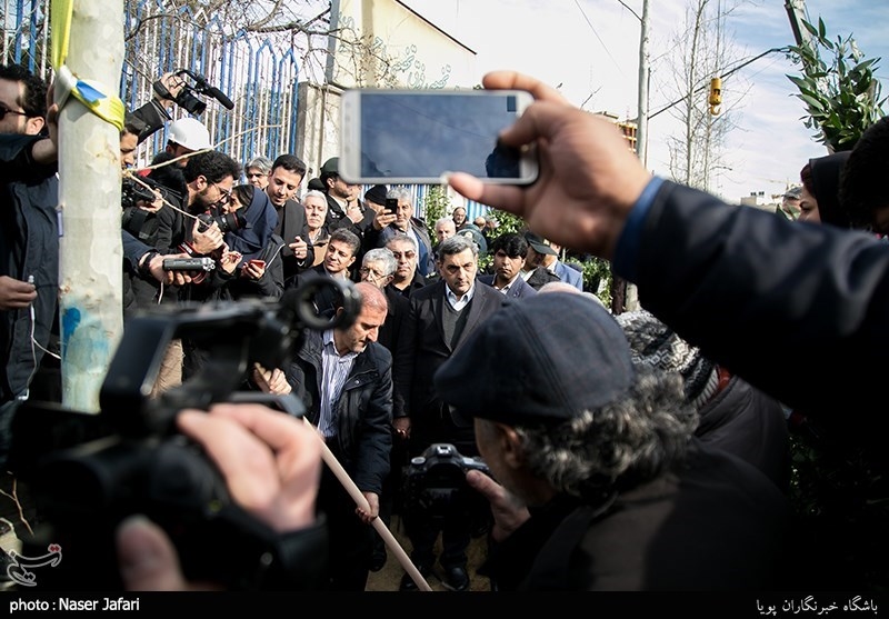 `پروژه ساماندهی و احیاء درختان چنار خیابان ولیعصر