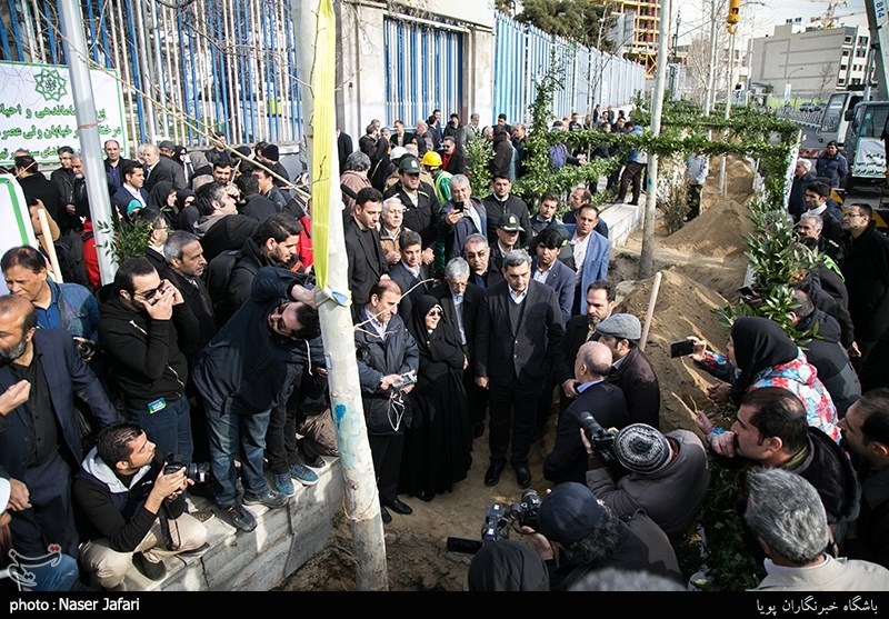 پروژه ساماندهی و احیاء درختان چنار خیابان ولیعصر