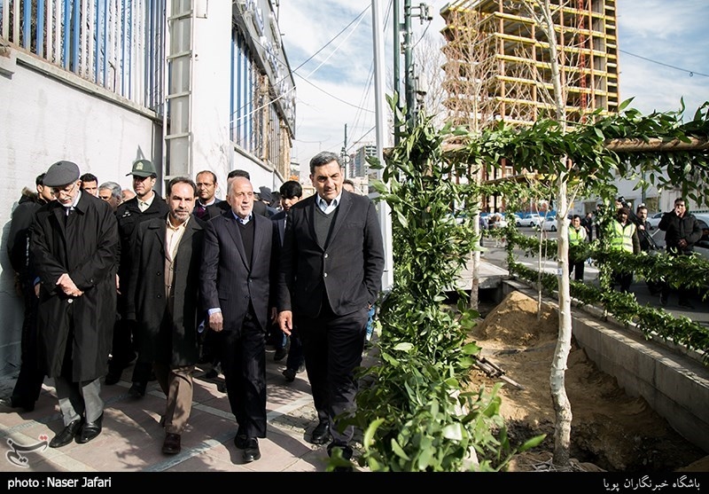 پروژه ساماندهی و احیاء درختان چنار خیابان ولیعصر