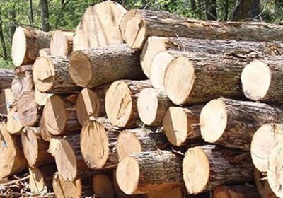 کشف و توقیف بیش از 7 تن چوب قاچاق در محور کرمان – رفسنجان