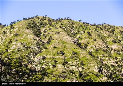 سد مارون - خوزستان