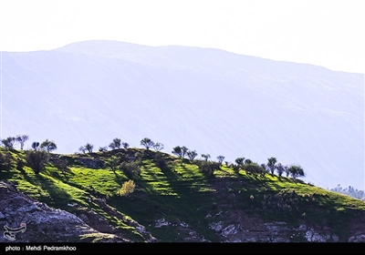 سد مارون و طبیعت اطراف آن