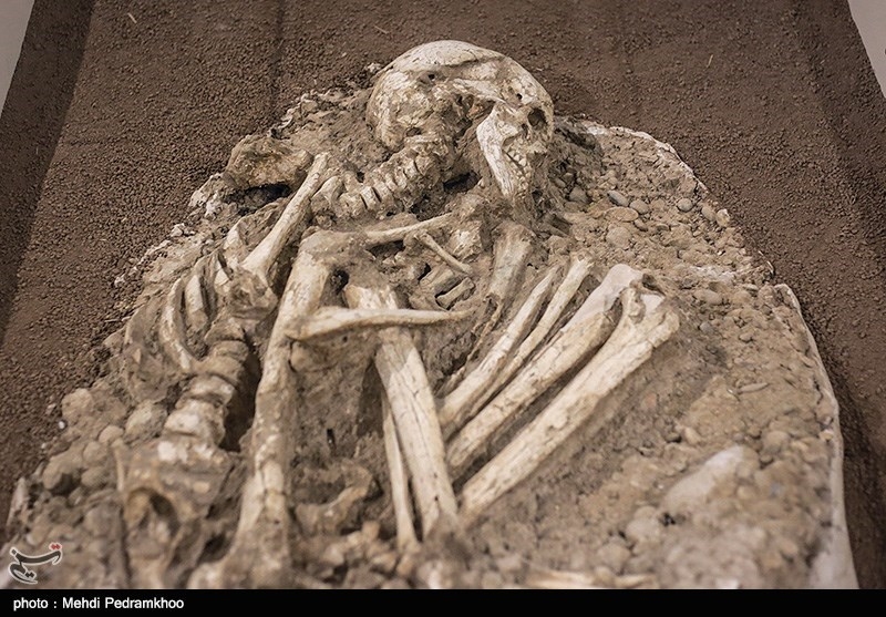 دارای شش تالار بزرگ است و آثار به نمایش درآمده در آن حاصل بخشی از حفاریهای منطقه شوش و چغازنبیل می باشد.