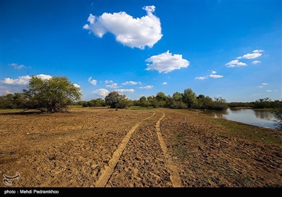 منطقه حفاظت شده کرخه