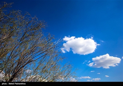 منطقه حفاظت شده کرخه