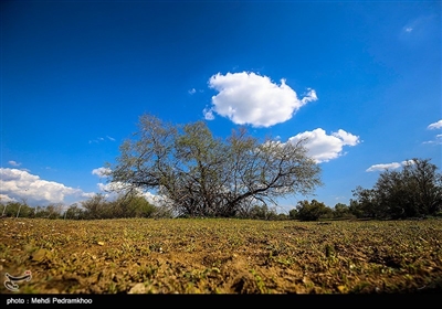 منطقه حفاظت شده کرخه
