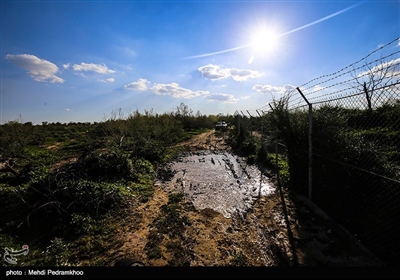 منطقه حفاظت شده کرخه