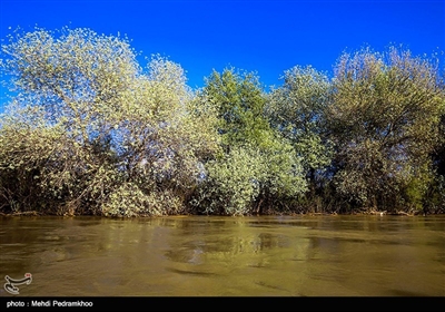 منطقه حفاظت شده کرخه