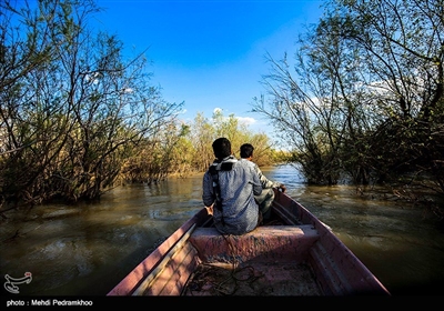 منطقه حفاظت شده کرخه