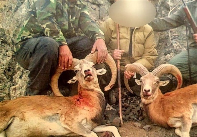 شکارچیان غیرمجاز در دام رصد محیط‌زیست
