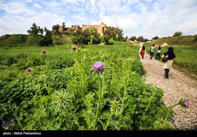 محوطه باستانی شوش