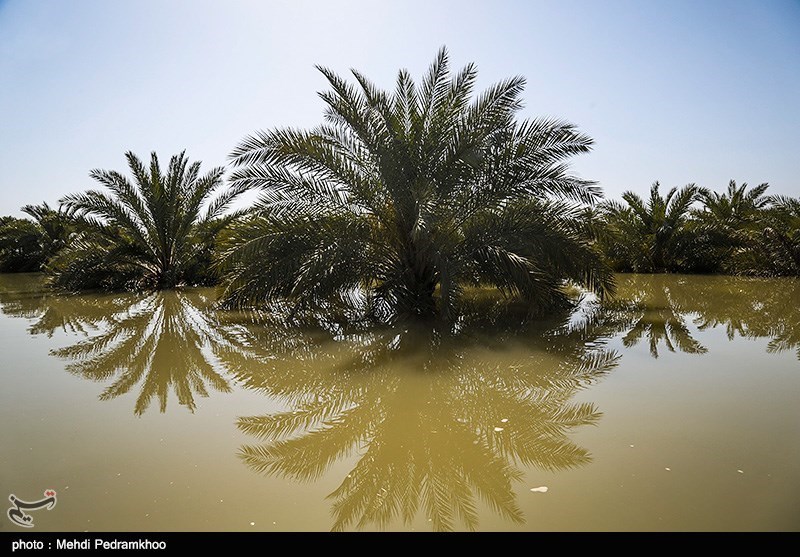 2 محور در جنوب سیستان و بلوچستان در پی طغیان رودخانه مسدود شد