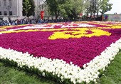 کاشت لاله در بوستان‌های منتخب و فرش گل در معابر بزرگراهی
