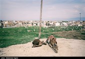 سیل و زندگی کودکان و خانواده ها در آق قلا