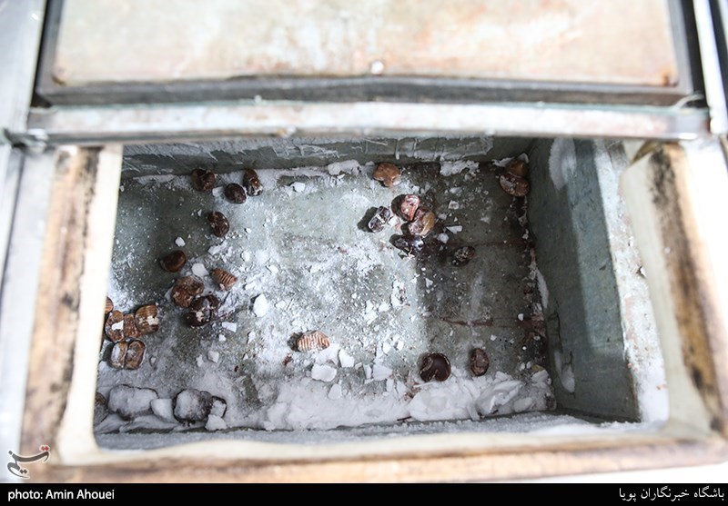 کشف انبار گوشت های فاسد