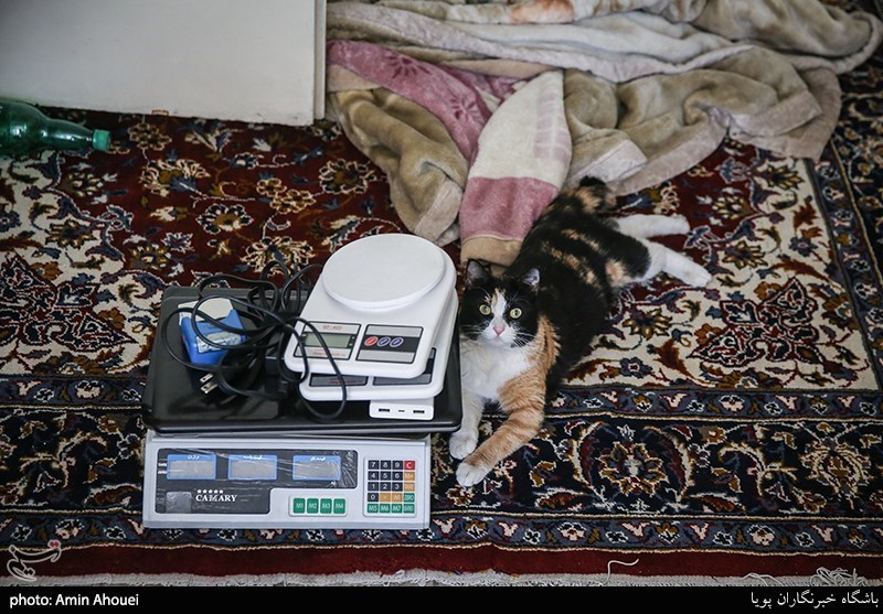 انهدام باند خانوادگی توزیع شیشه در جنوب پایتخت