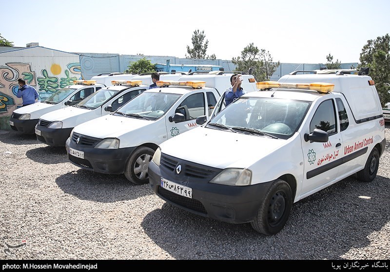 بازدید از نقاهتگاه و مرکز نگهداری سگ‌های ولگرد