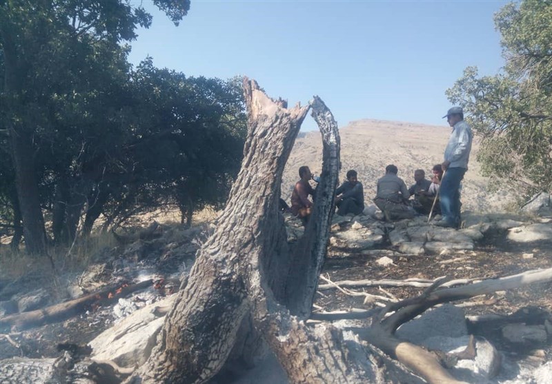 آتش سوزی جنگل ها و مراتع ,