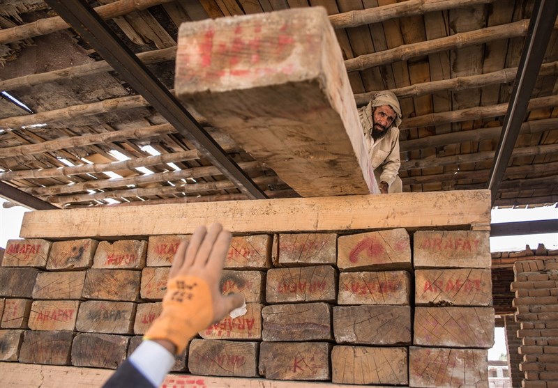 اخبار استان مازندران , اخبار ساری , سازمان منابع طبیعی , قاچاق , نظام مسائل استان مازندران , 