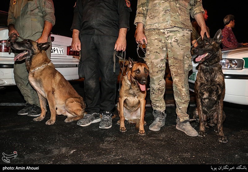 استفاده از سگهای موادیاب در عملیات دستگیری خرده‌فروشان موادمخدر