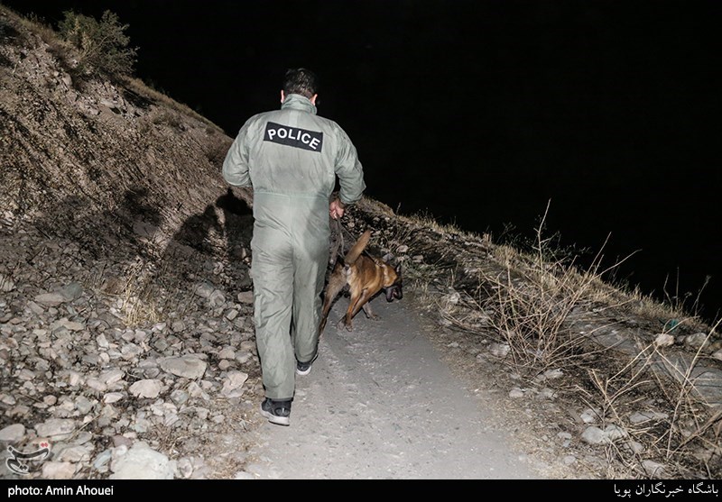 استفاده از سگهای موادیاب در عملیات دستگیری خرده‌فروشان موادمخدر