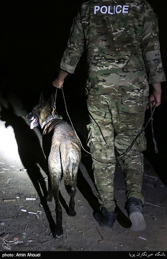 استفاده از سگهای موادیاب در عملیات دستگیری خرده‌فروشان موادمخدر