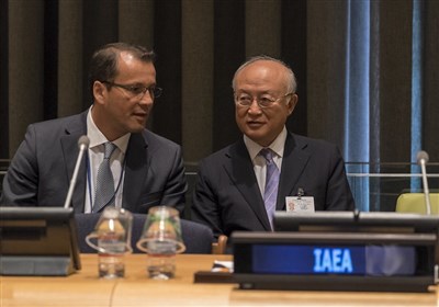یک رومانیایی مدیرکل موقت آژانس بین‌المللی انرژی اتمی شد