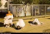 حال و هوای زائران ایرانی و مناجات شبانه در صحرای عرفات