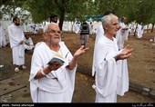 حجاج ایرانی در مراسم دعای عرفه در صحرای عرفات