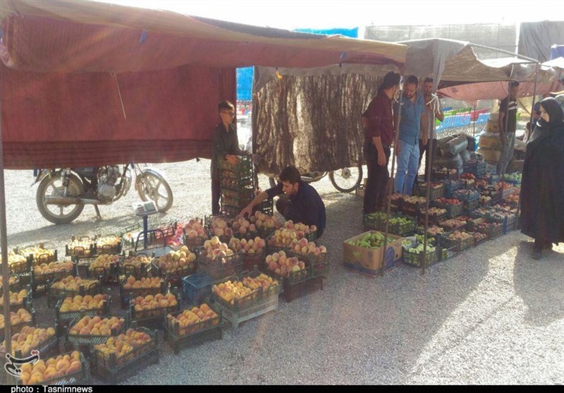 اخبار همدان , اخبار استان همدان , 