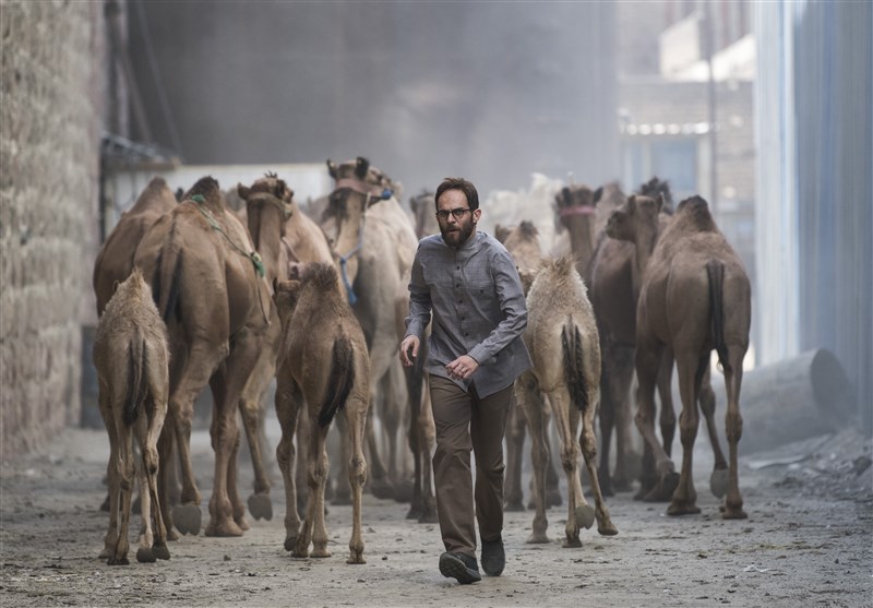 سینما , جشنواره فیلم فجر , سی و هشتمین جشنواره فیلم فجر , 