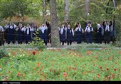 جشنواره سرو در آذربایجان شرقی برگزار می‌شود