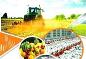 آغاز کارگاه‌های کارآفرینی و اشتغال‌زایی زنان روستایی مازندران