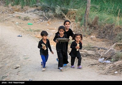 حضور کودکان در پیاده روی اربعین حسینی - طریق العلماء