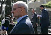 علی ربیعی سخنگوی دولت درحاشیه جلسه هیئت دولت 